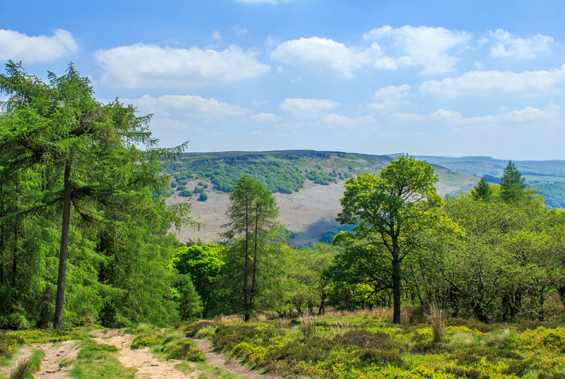 Bamford Edge Bamford Edge